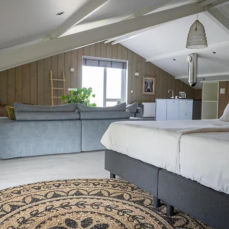 Loft Rietkraag